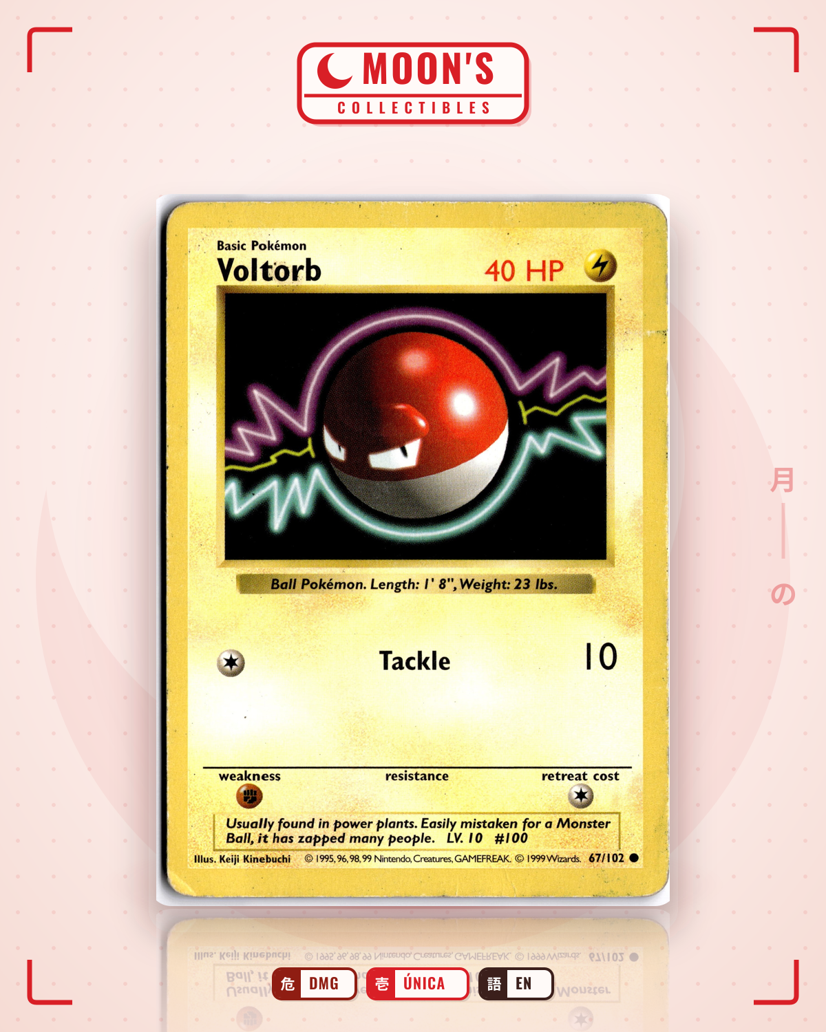 Carta Pokémon Voltorb · Base #67/102 (DMG) — pieza única en Moon's Collectibles México