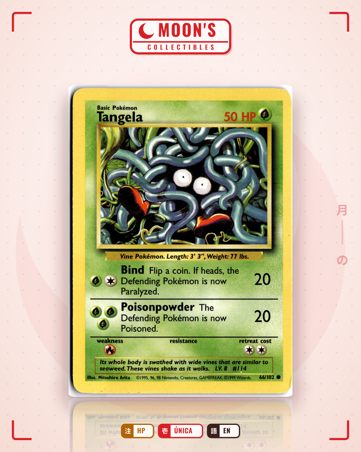 Carta Pokémon Tangela · Base #66/102 (HP) — pieza única en Moon's Collectibles México
