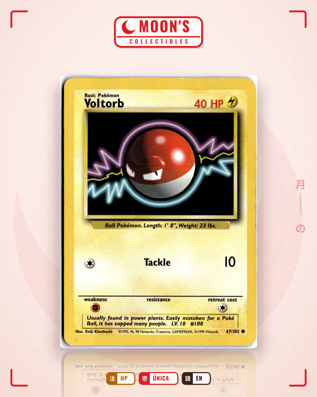 Carta Pokémon Voltorb · Base #67/102 (HP) — pieza única en Moon's Collectibles México
