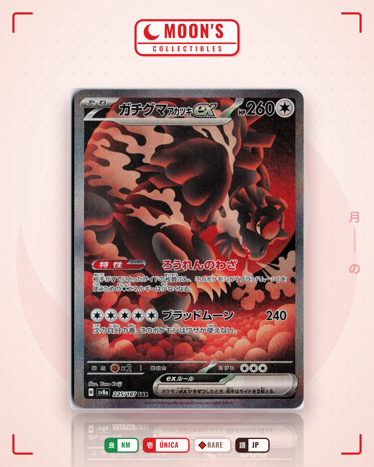 Carta Pokémon ガチグマアカツキex · テラスタルフェスex #225/187 (NM) — pieza única en Moon's Collectibles México