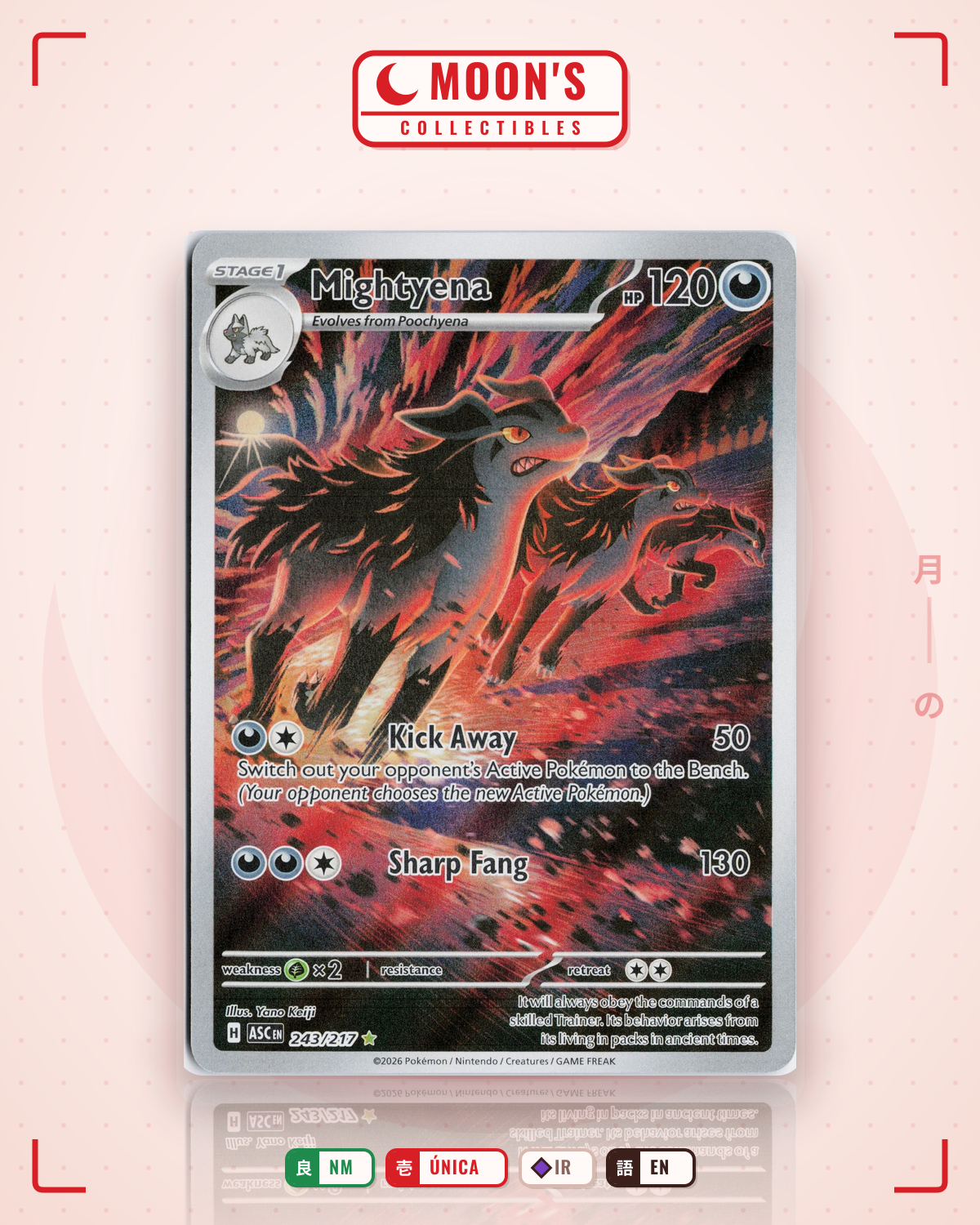Carta Pokémon Mightyena · Ascended Heroes #243/217 (NM) — pieza única en Moon's Collectibles México