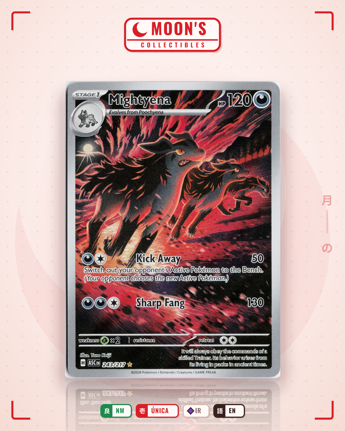 Carta Pokémon Mightyena · Ascended Heroes #243/217 (NM) — pieza única en Moon's Collectibles México