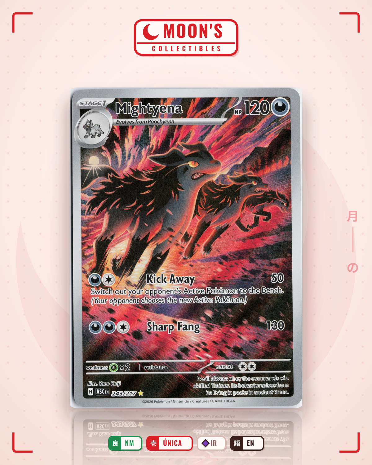 Carta Pokémon Mightyena · Ascended Heroes #243/217 (NM) — pieza única en Moon's Collectibles México