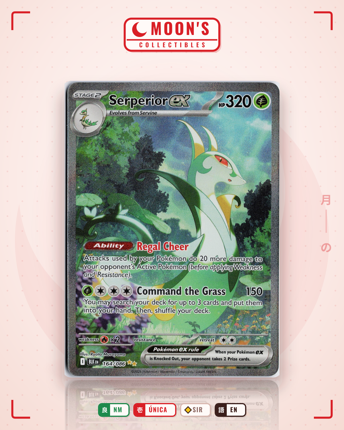 Carta Pokémon Serperior ex · Black Bolt #164/086 (NM) — pieza única en Moon's Collectibles México