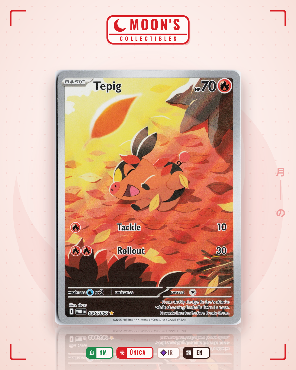 Carta Pokémon Tepig · White Flare #096/086 (NM) — pieza única en Moon's Collectibles México