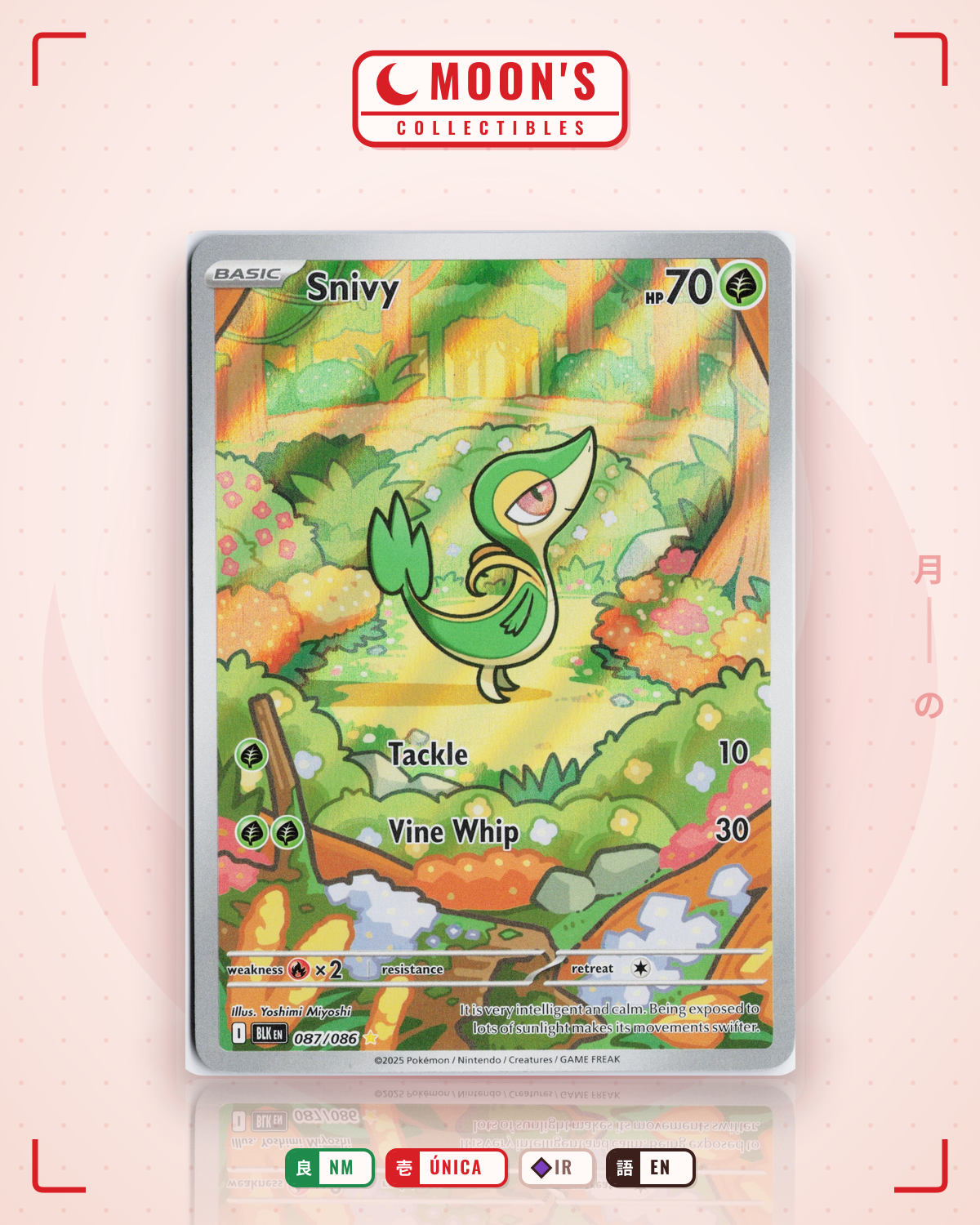 Carta Pokémon Snivy · Black Bolt #087/086 (NM) — pieza única en Moon's Collectibles México