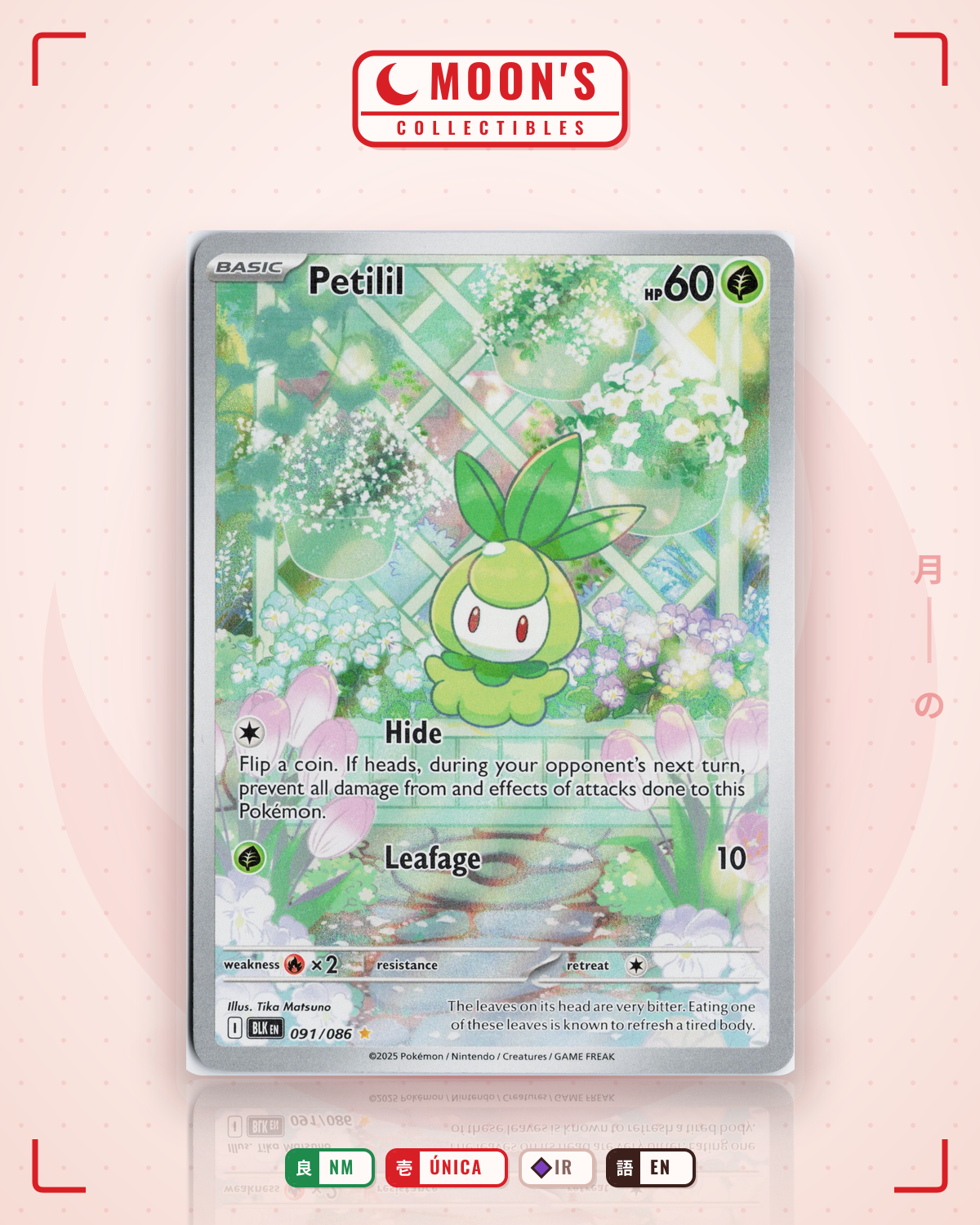 Carta Pokémon Petilil · Black Bolt #091/086 (NM) — pieza única en Moon's Collectibles México