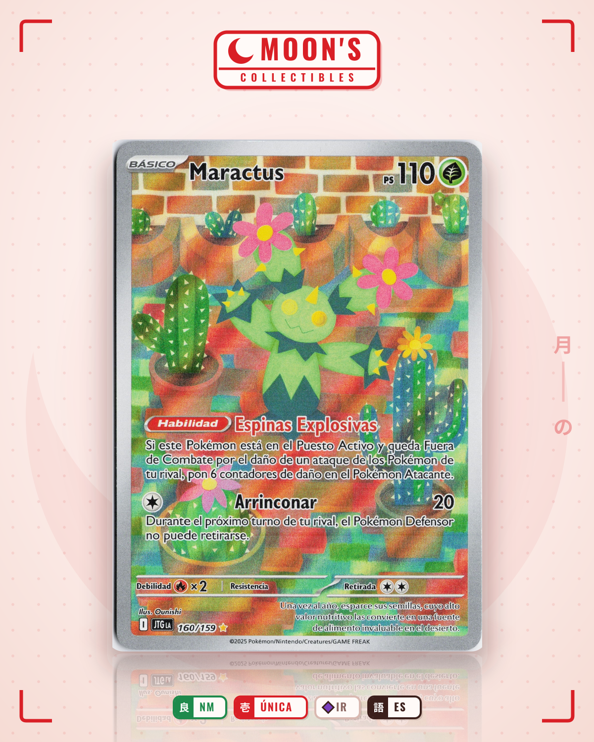 Carta Pokémon Maractus · Journey Together #160/159 (NM) — pieza única en Moon's Collectibles México