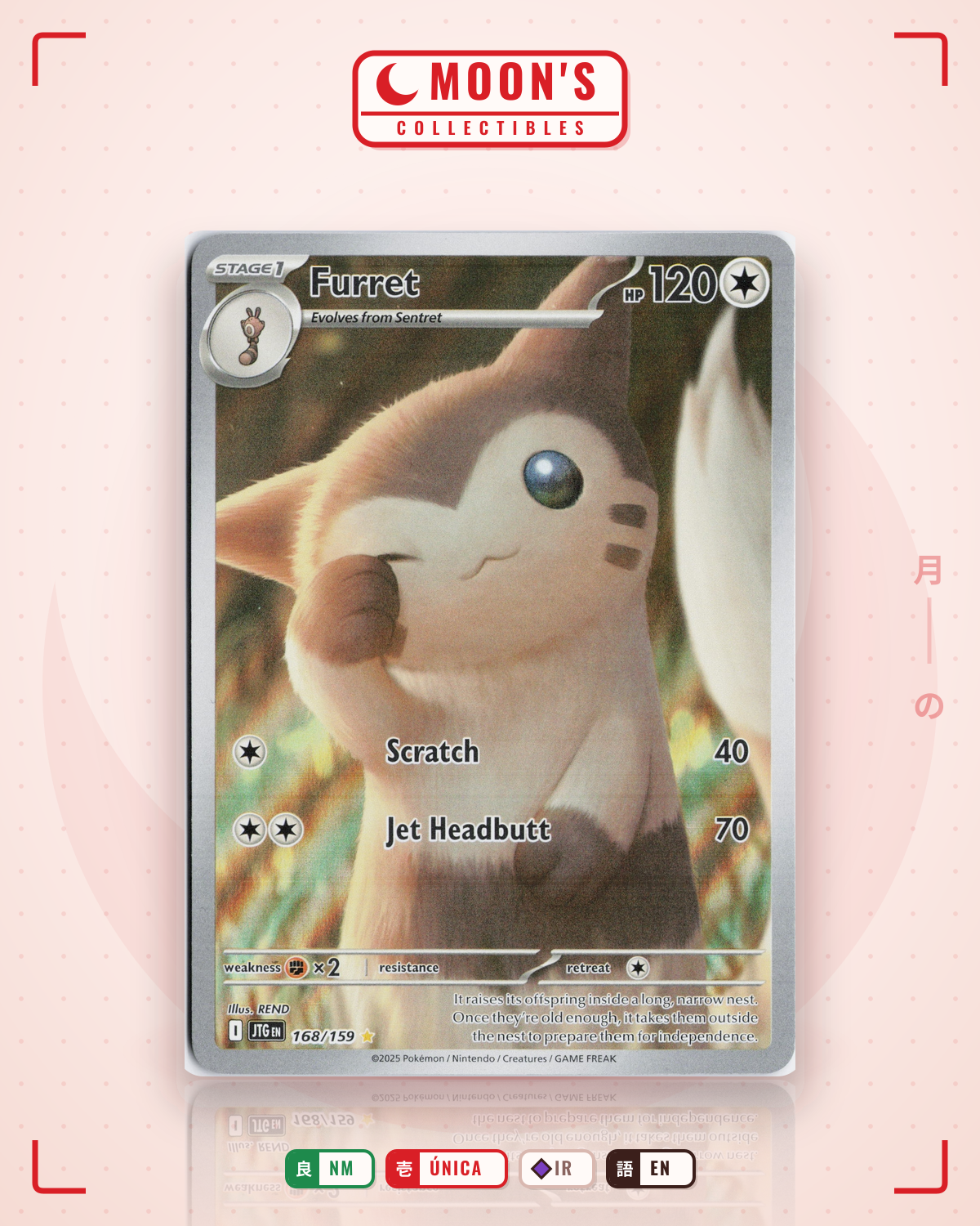 Carta Pokémon Furret · Journey Together #168/159 (NM) — pieza única en Moon's Collectibles México