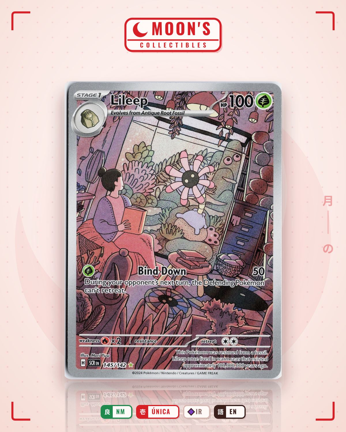 Carta Pokémon Lileep · Stellar Crown #145/142 (NM) — pieza única en Moon's Collectibles México