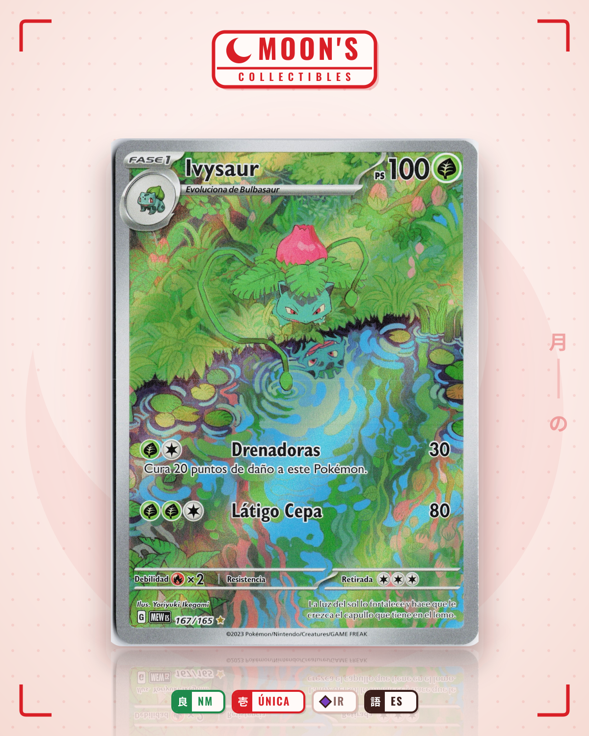 Carta Pokémon Ivysaur · 151 #167/165 (NM) — pieza única en Moon's Collectibles México