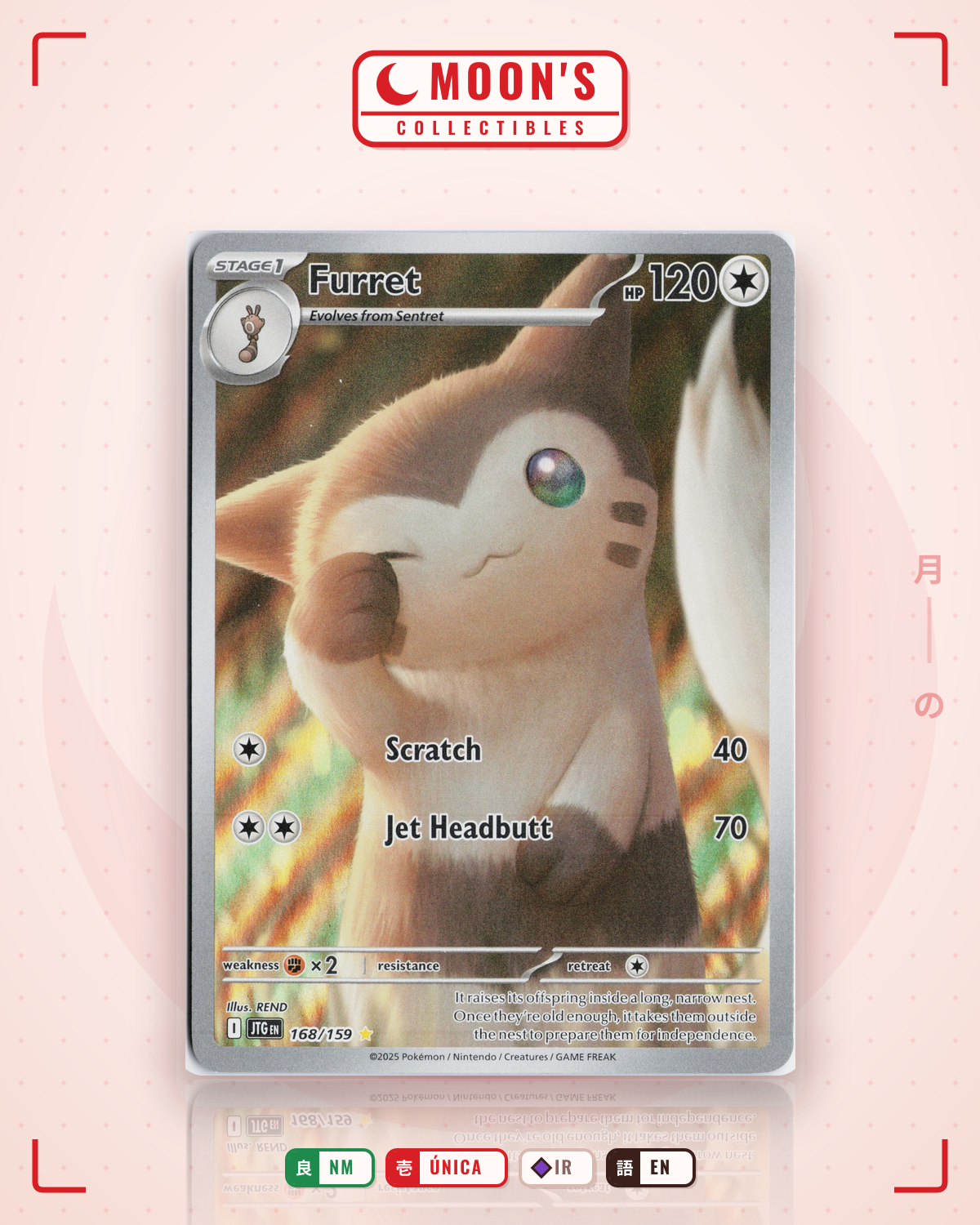 Carta Pokémon Furret · Journey Together #168/159 (NM) — pieza única en Moon's Collectibles México
