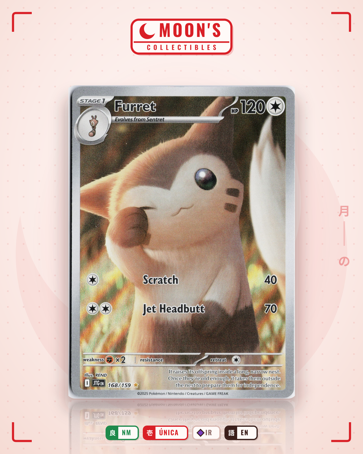 Carta Pokémon Furret · Journey Together #168/159 (NM) — pieza única en Moon's Collectibles México