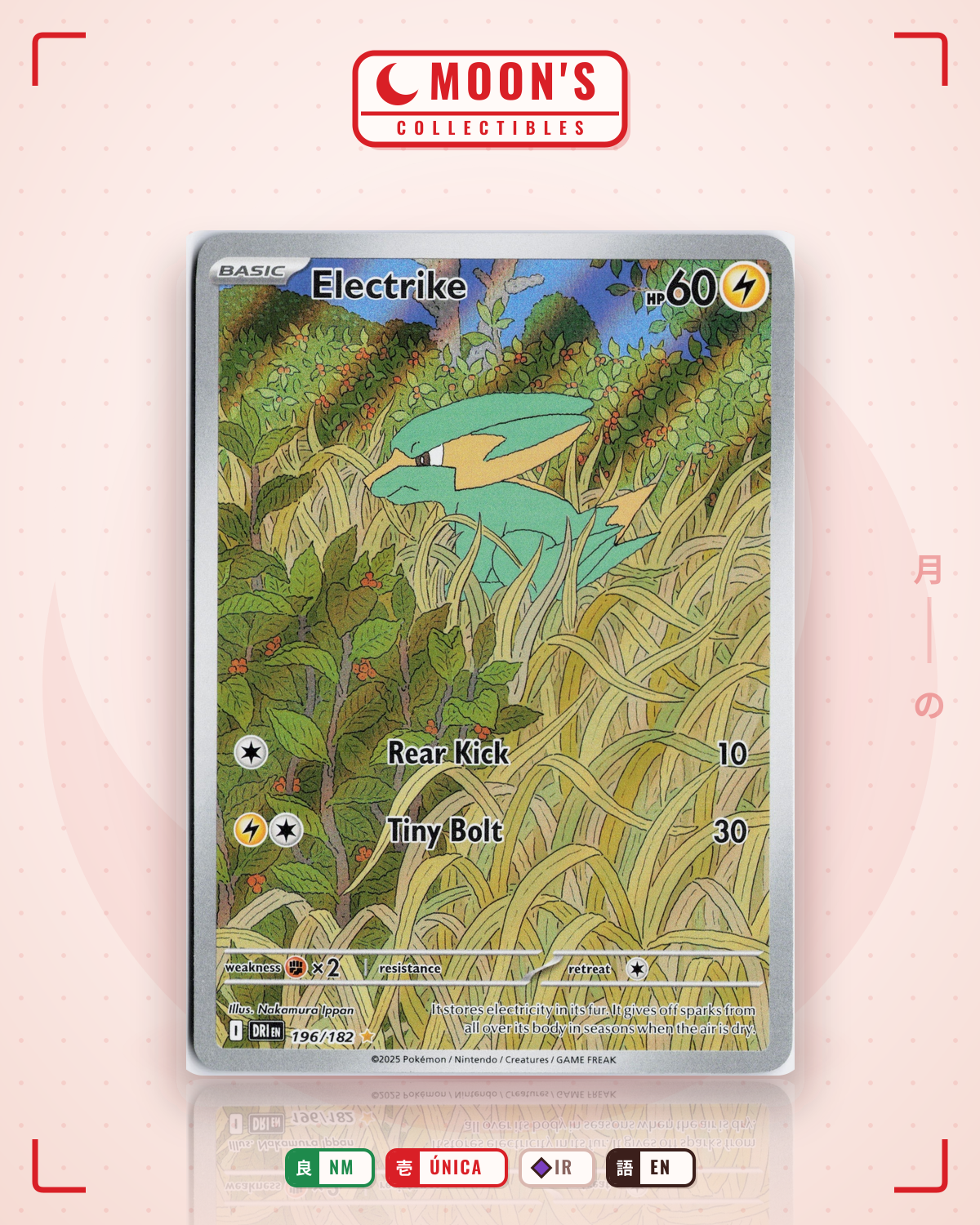 Carta Pokémon Electrike · Destined Rivals #196/182 (NM) — pieza única en Moon's Collectibles México