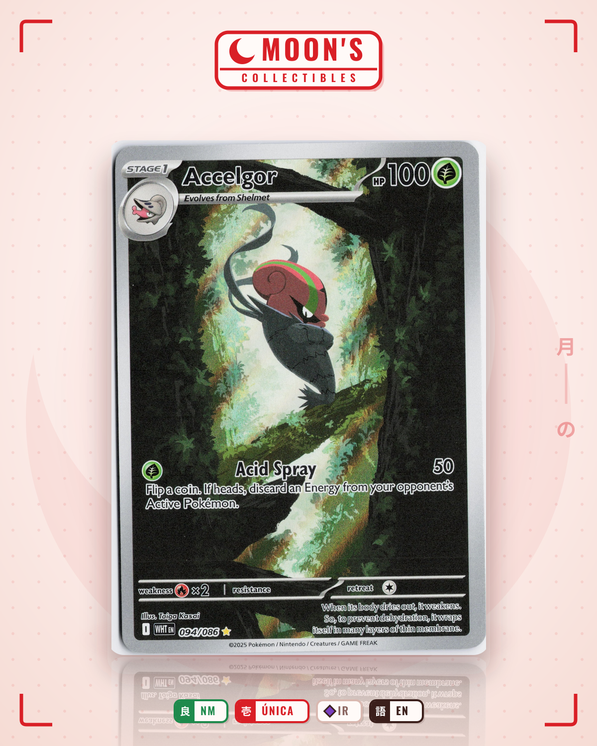 Carta Pokémon Accelgor · White Flare #094/086 (NM) — pieza única en Moon's Collectibles México