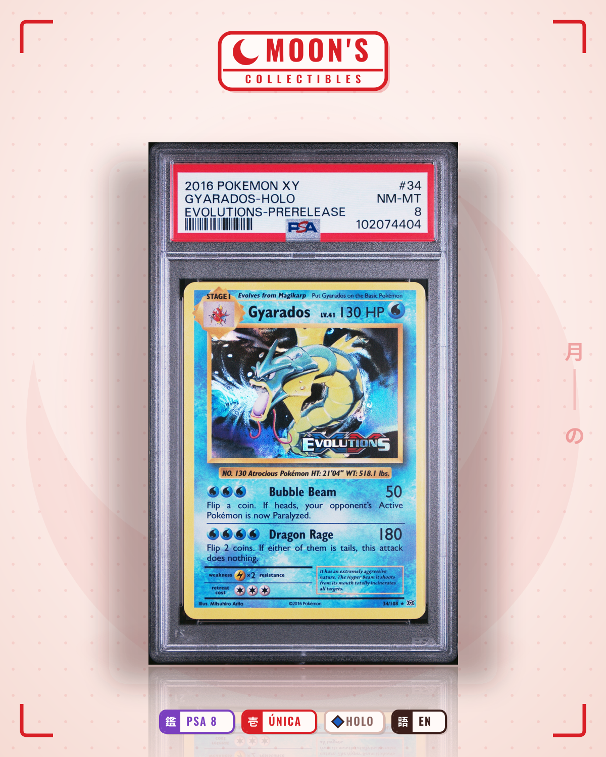 Carta Pokémon Gyarados · Evolutions #34/108 (PSA 8) — pieza única en Moon's Collectibles México