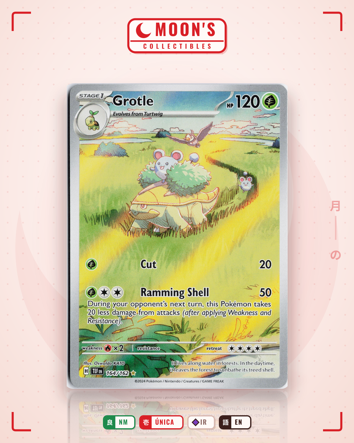 Carta Pokémon Grotle · Temporal Forces #164/162 (NM) — pieza única en Moon's Collectibles México