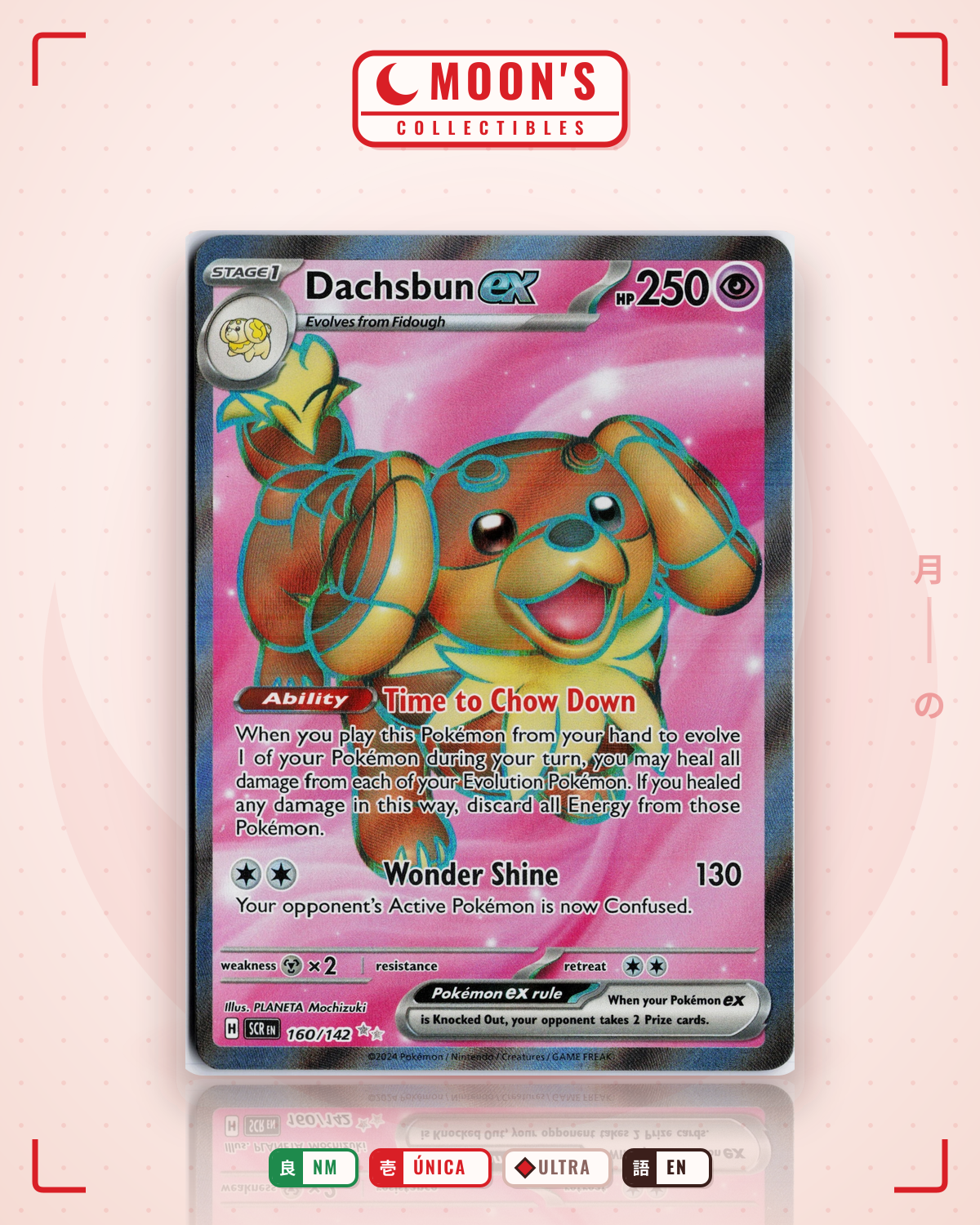 Carta Pokémon Dachsbun ex · Stellar Crown #160/142 (NM) — pieza única en Moon's Collectibles México
