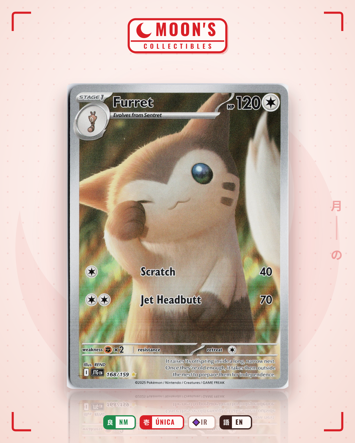 Carta Pokémon Furret · Journey Together #168/159 (NM) — pieza única en Moon's Collectibles México