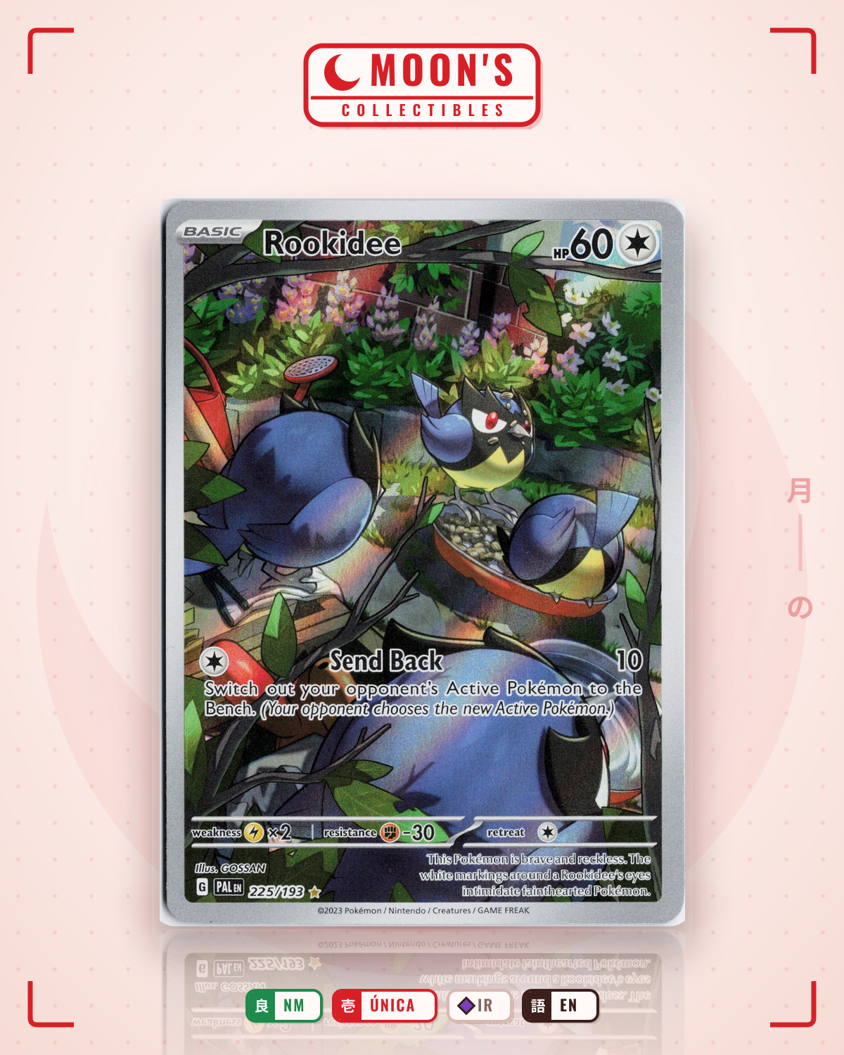Carta Pokémon Rookidee · Paldea Evolved #225/193 (NM) — pieza única en Moon's Collectibles México