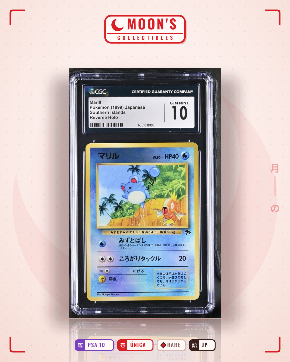 Carta Pokémon marril · southern islands # (PSA 10) — pieza única en Moon's Collectibles México
