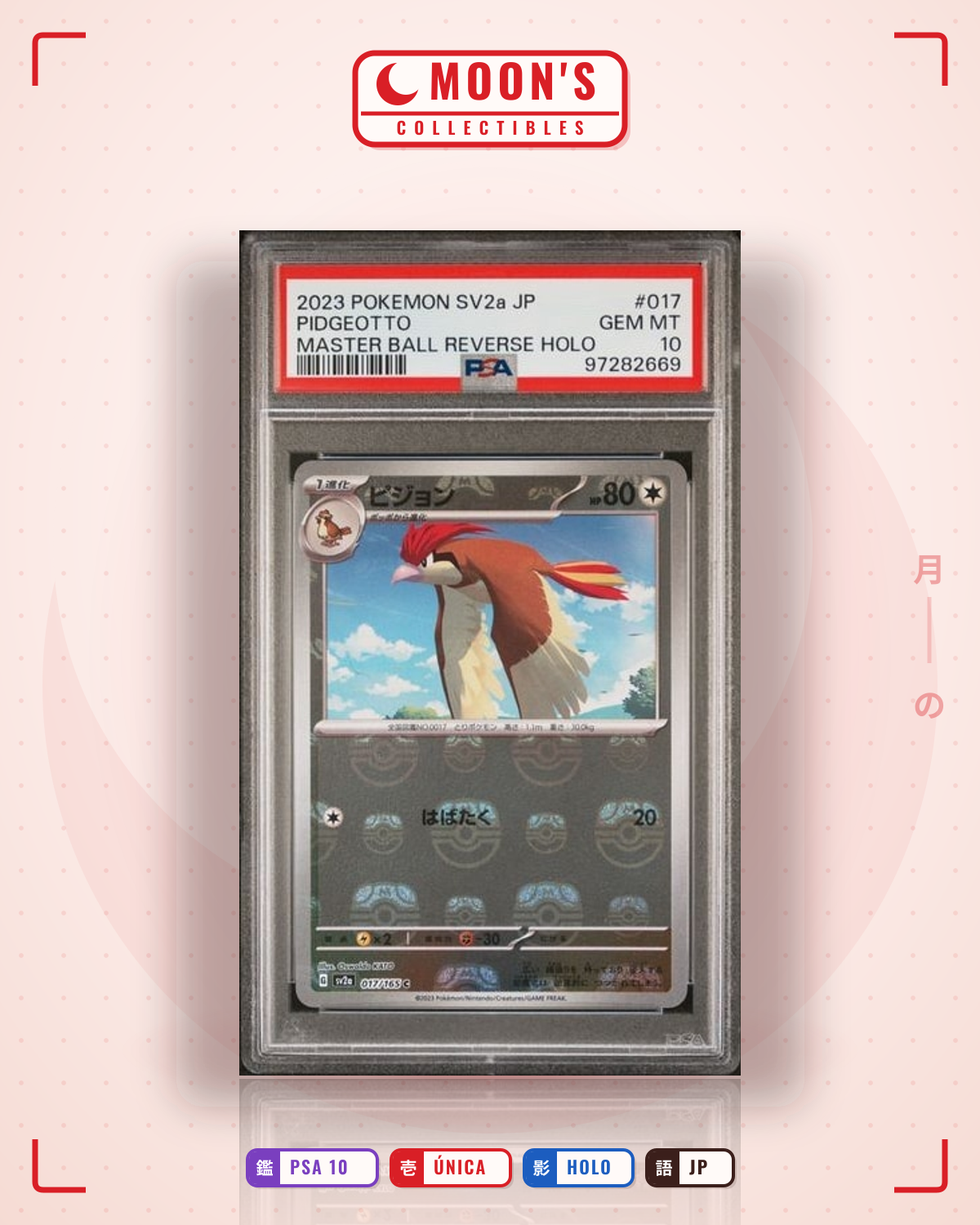 Carta Pokémon pidgeotto · 151 #017/165 (PSA 10) — pieza única en Moon's Collectibles México