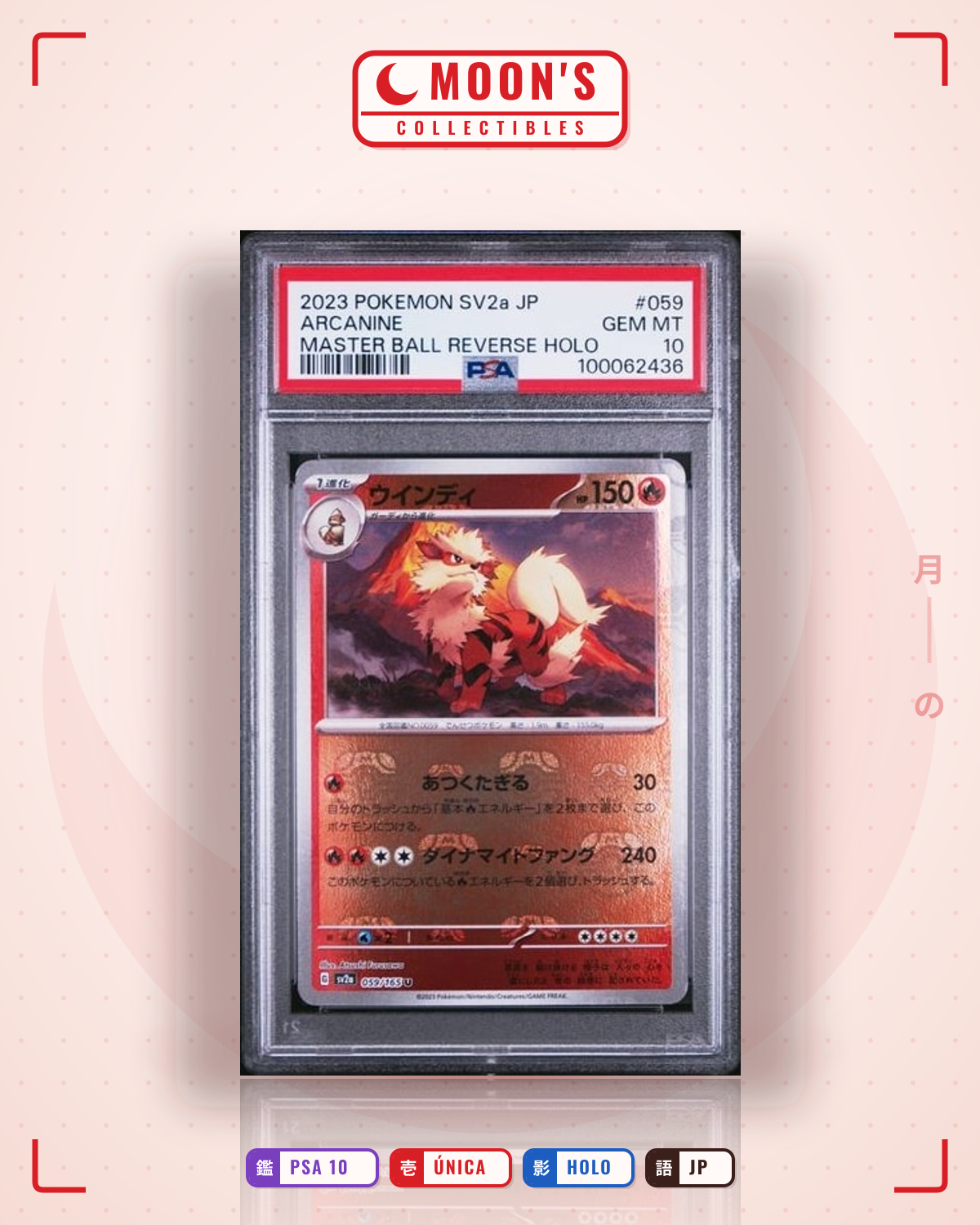 Carta Pokémon arcanine · 151 #059/165 (PSA 10) — pieza única en Moon's Collectibles México