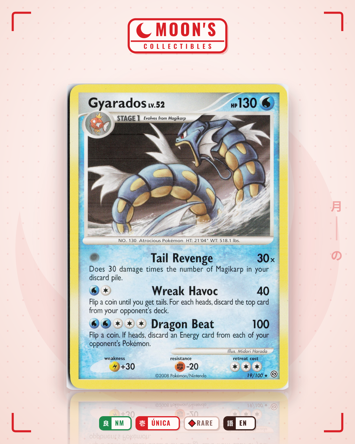 Carta Pokémon Gyarados · Stormfront #19/100 (NM) — pieza única en Moon's Collectibles México