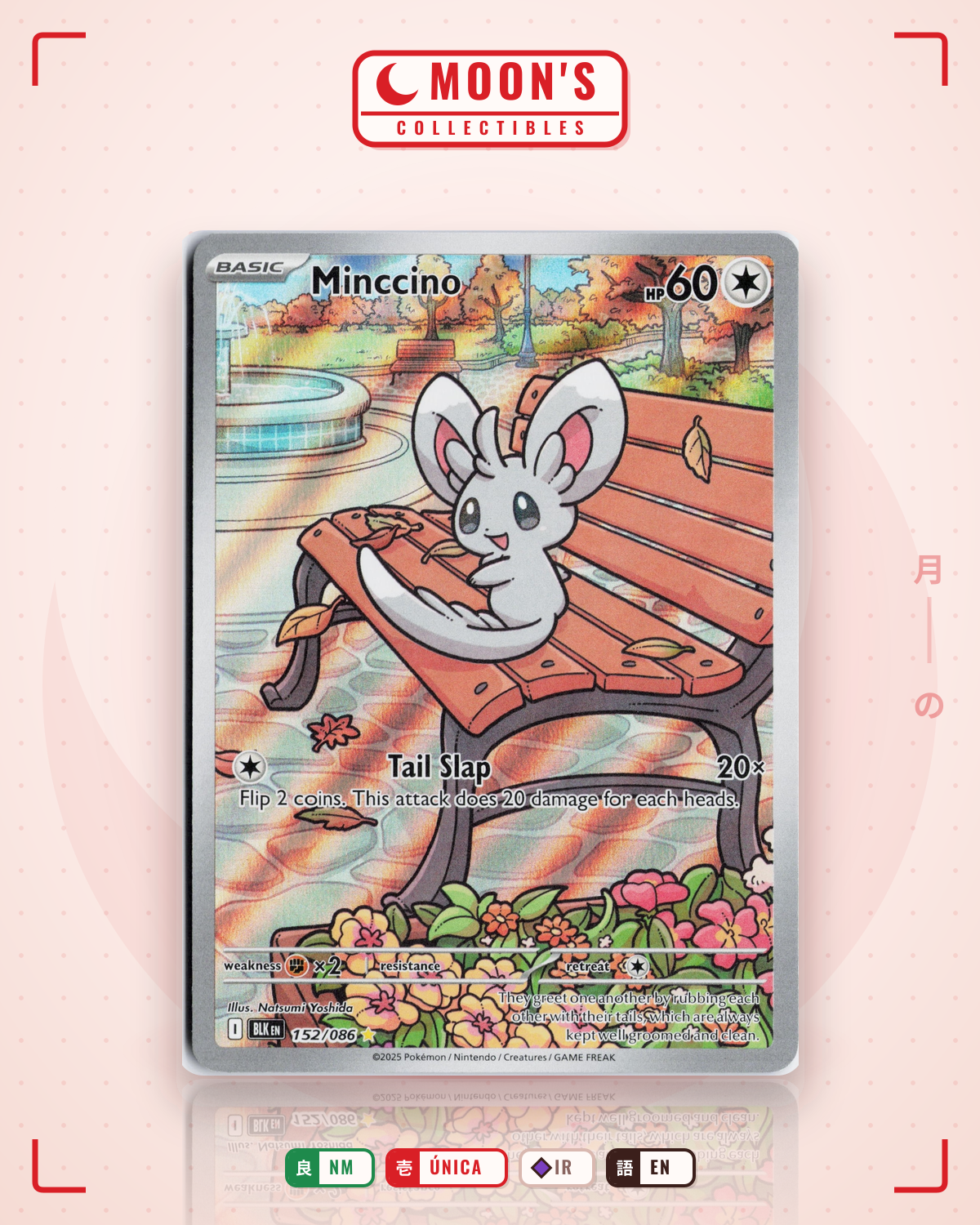 Carta Pokémon Minccino · Black Bolt #152/086 (NM) — pieza única en Moon's Collectibles México