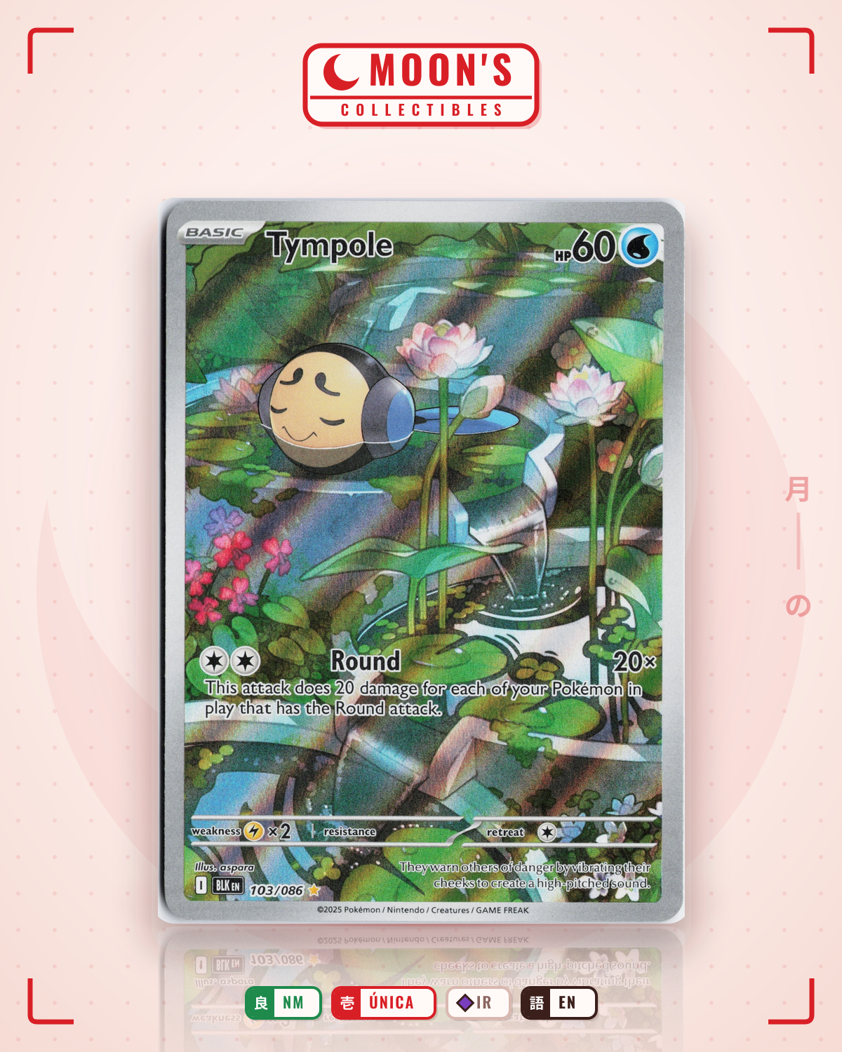 Carta Pokémon Tympole · Black Bolt #103/086 (NM) — pieza única en Moon's Collectibles México