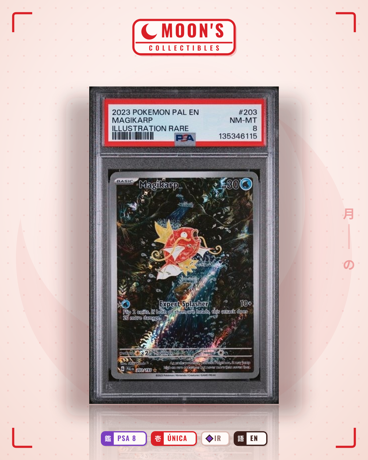 Carta Pokémon Magikarp · Paldea Evolved #203/193 (PSA 8) — pieza única en Moon's Collectibles México