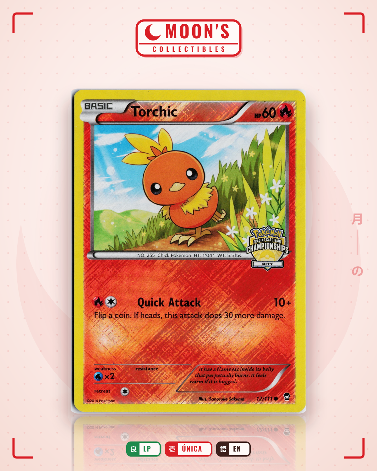 Carta Pokémon Torchic · Furious Fists #12/111 (LP) — pieza única en Moon's Collectibles México