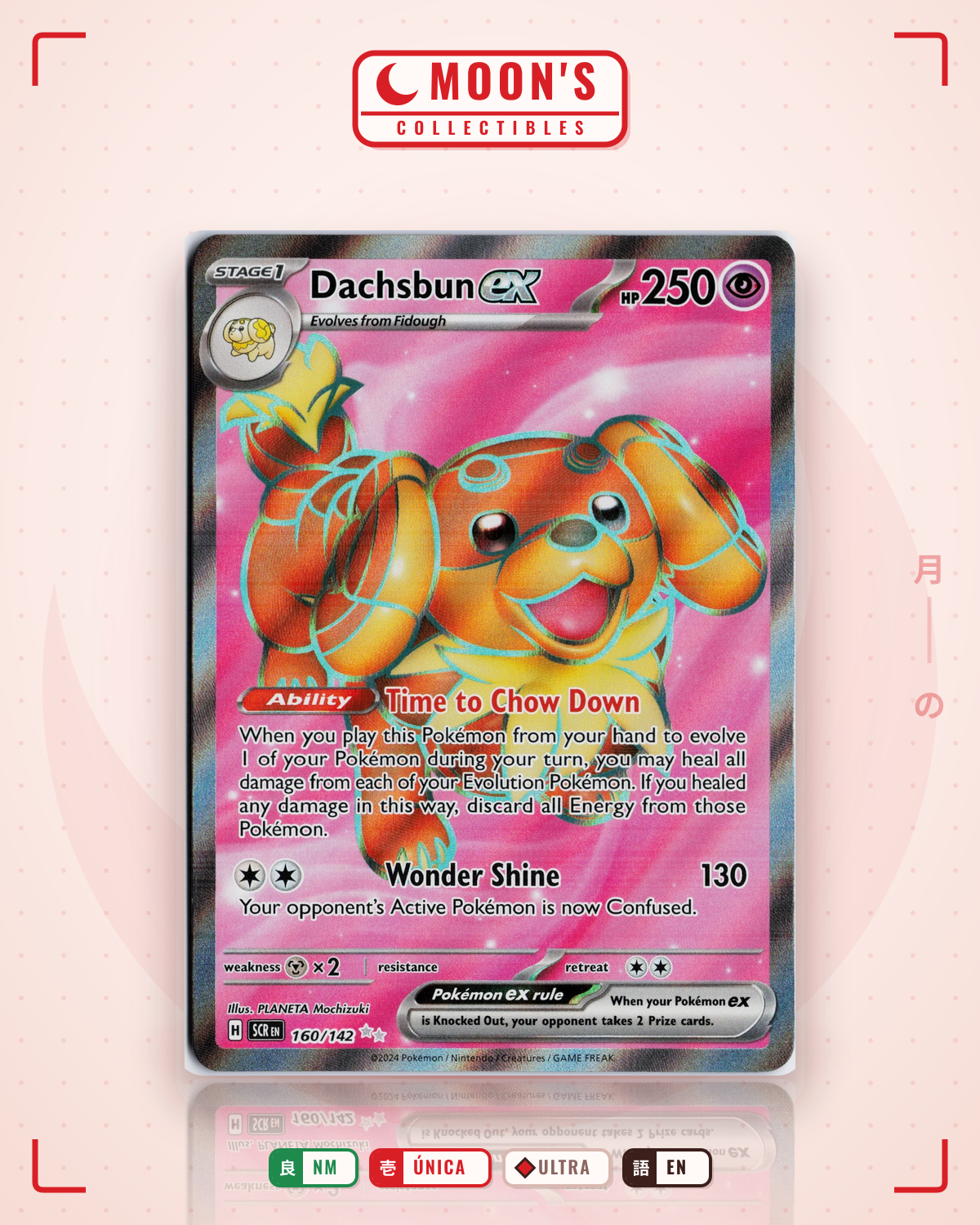 Carta Pokémon Dachsbun ex · Stellar Crown #160/142 (NM) — pieza única en Moon's Collectibles México