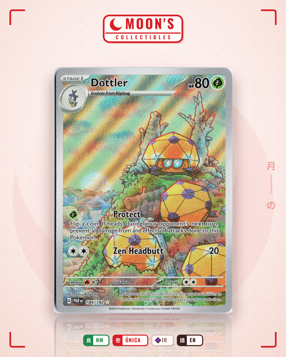 Carta Pokémon Dottler · Paradox Rift #184/182 (NM) — pieza única en Moon's Collectibles México