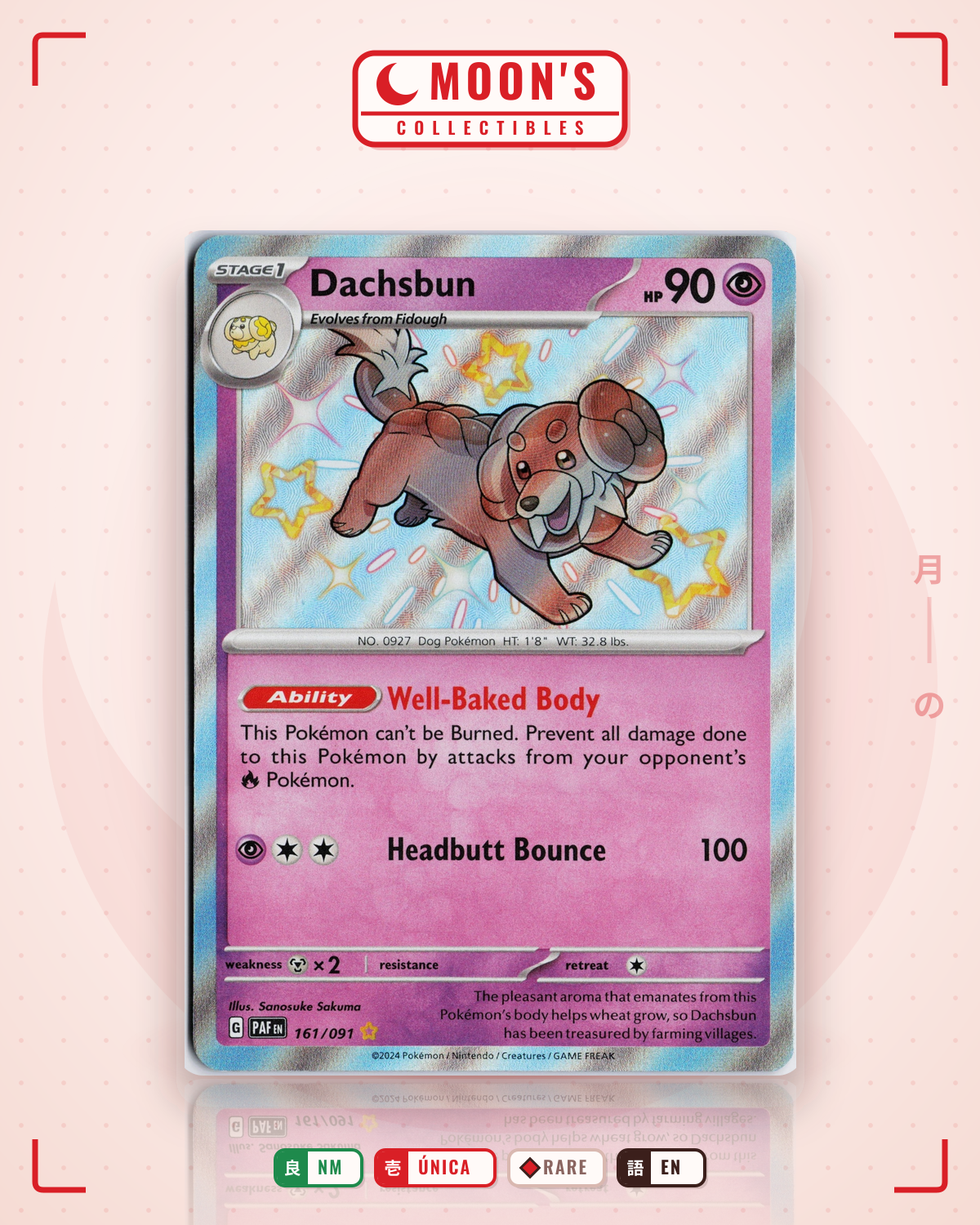 Carta Pokémon Dachsbun · Paldean Fates #161/091 (NM) — pieza única en Moon's Collectibles México