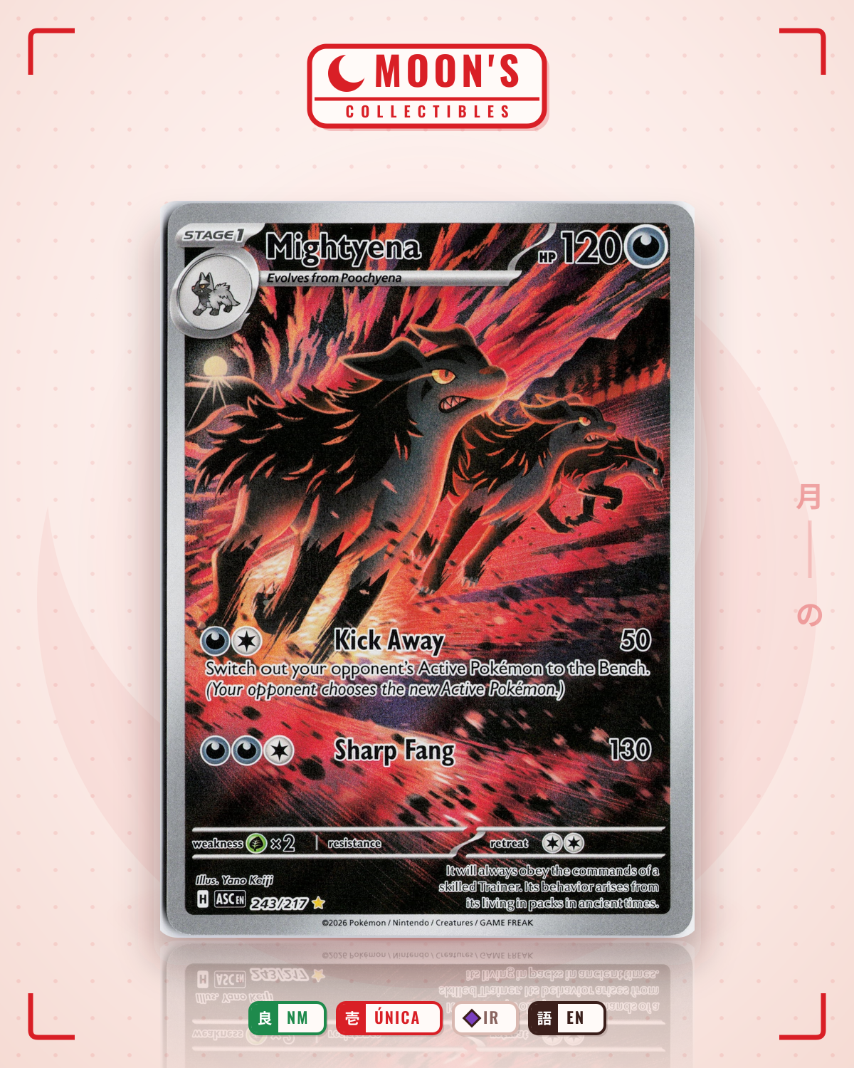 Carta Pokémon Mightyena · Ascended Heroes #243/217 (NM) — pieza única en Moon's Collectibles México