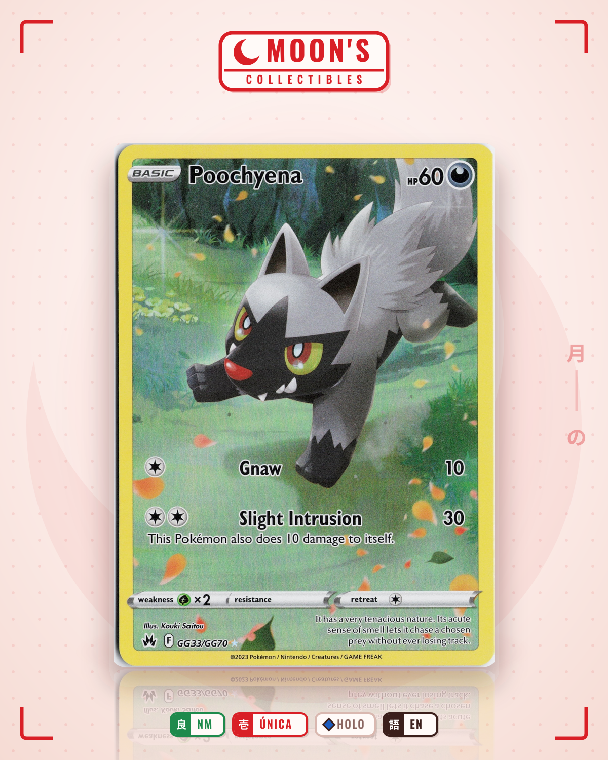 Carta Pokémon Poochyena · Crown Zenith Galarian Gallery #GG33/GG70 (NM) — pieza única en Moon's Collectibles México