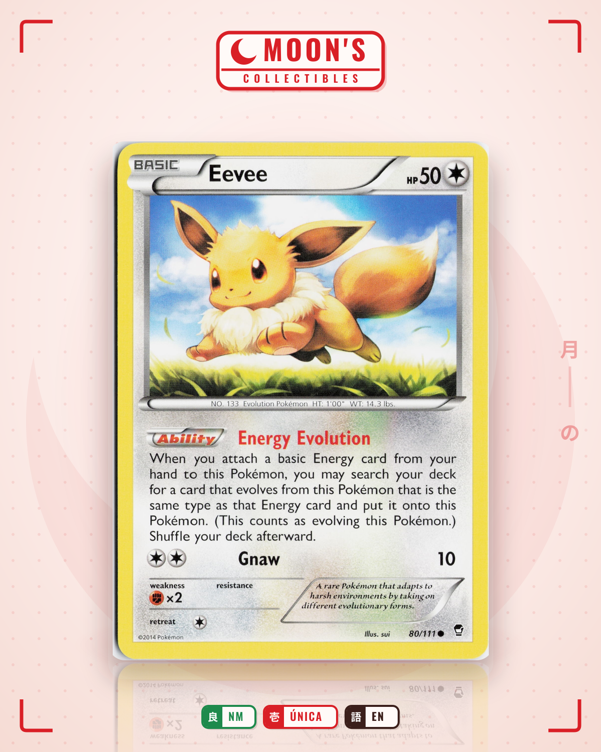 Carta Pokémon Eevee · Furious Fists #80/111 (NM) — pieza única en Moon's Collectibles México