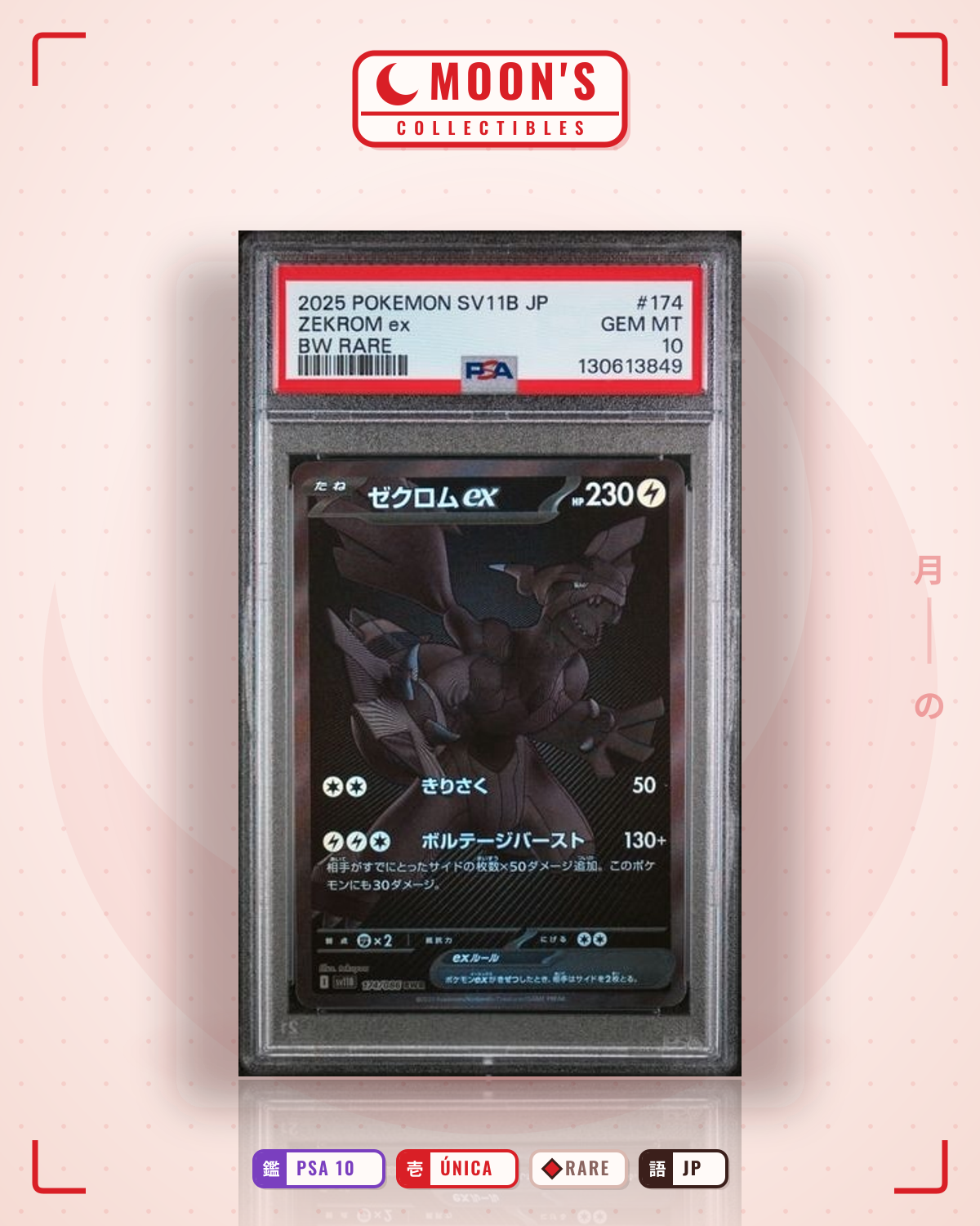 Carta Pokémon ゼクロムex · ブラックボルト #174/086 (PSA 10) — pieza única en Moon's Collectibles México