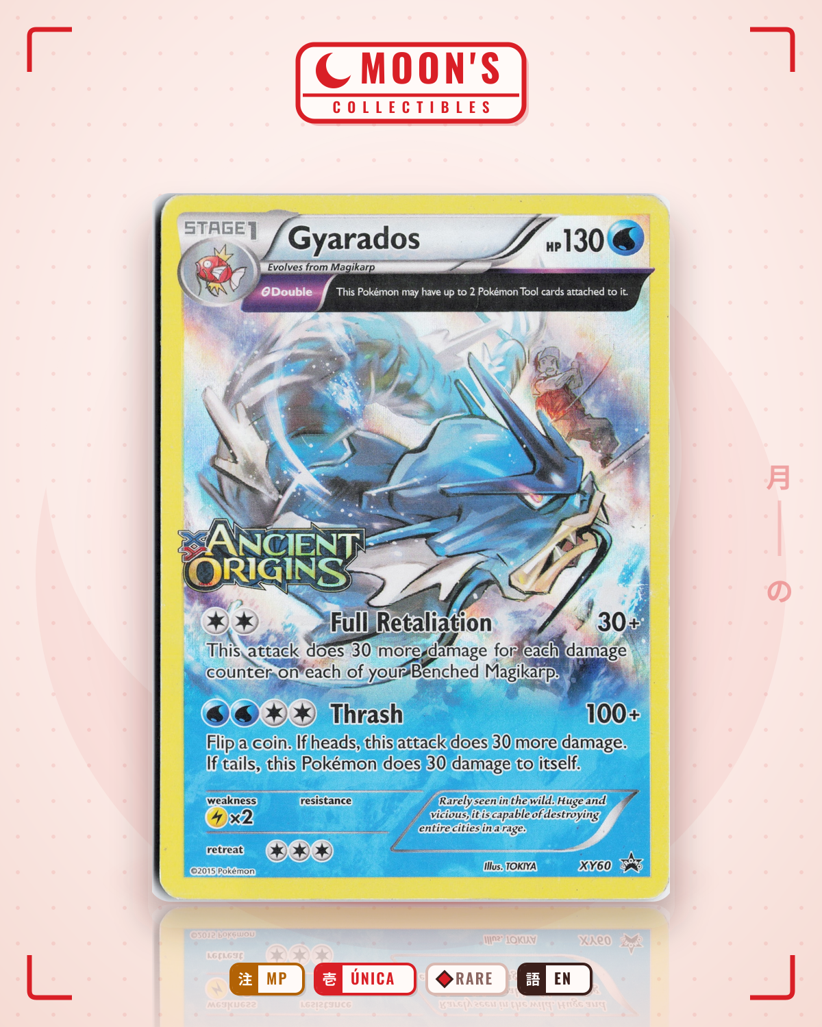 Carta Pokémon Gyarados · XY Black Star Promos #XY60 (MP) — pieza única en Moon's Collectibles México