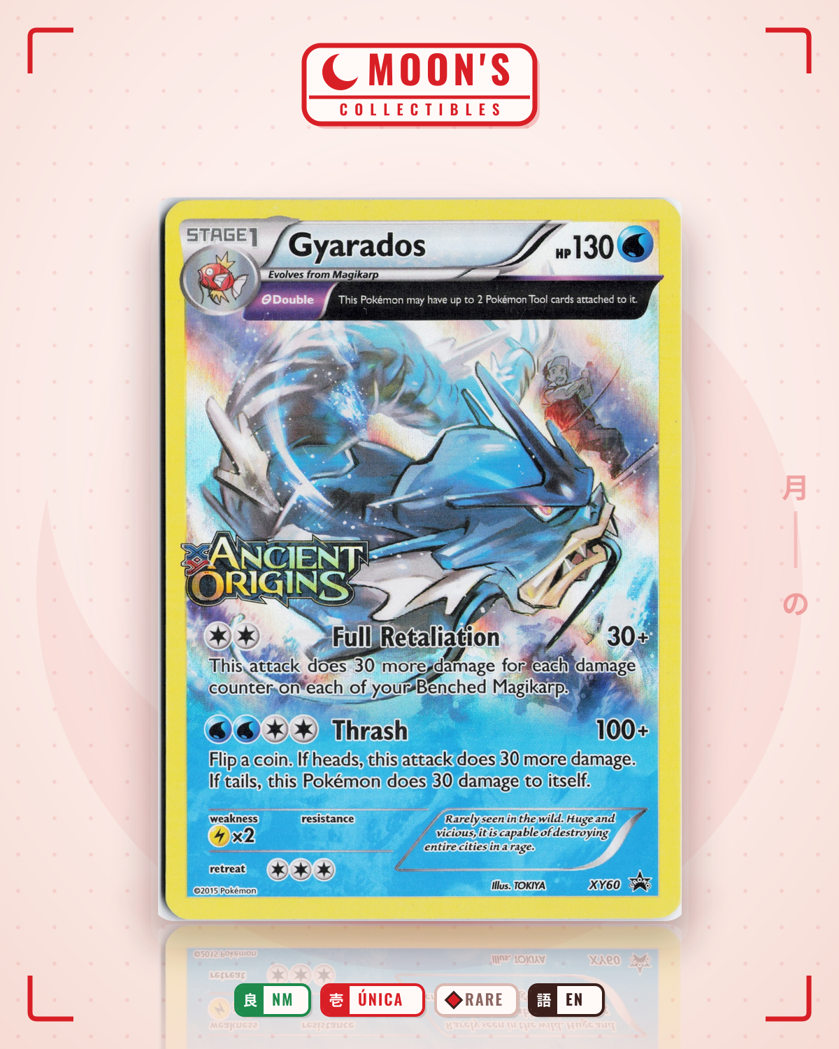 Carta Pokémon Gyarados · XY Black Star Promos #XY60 (NM) — pieza única en Moon's Collectibles México
