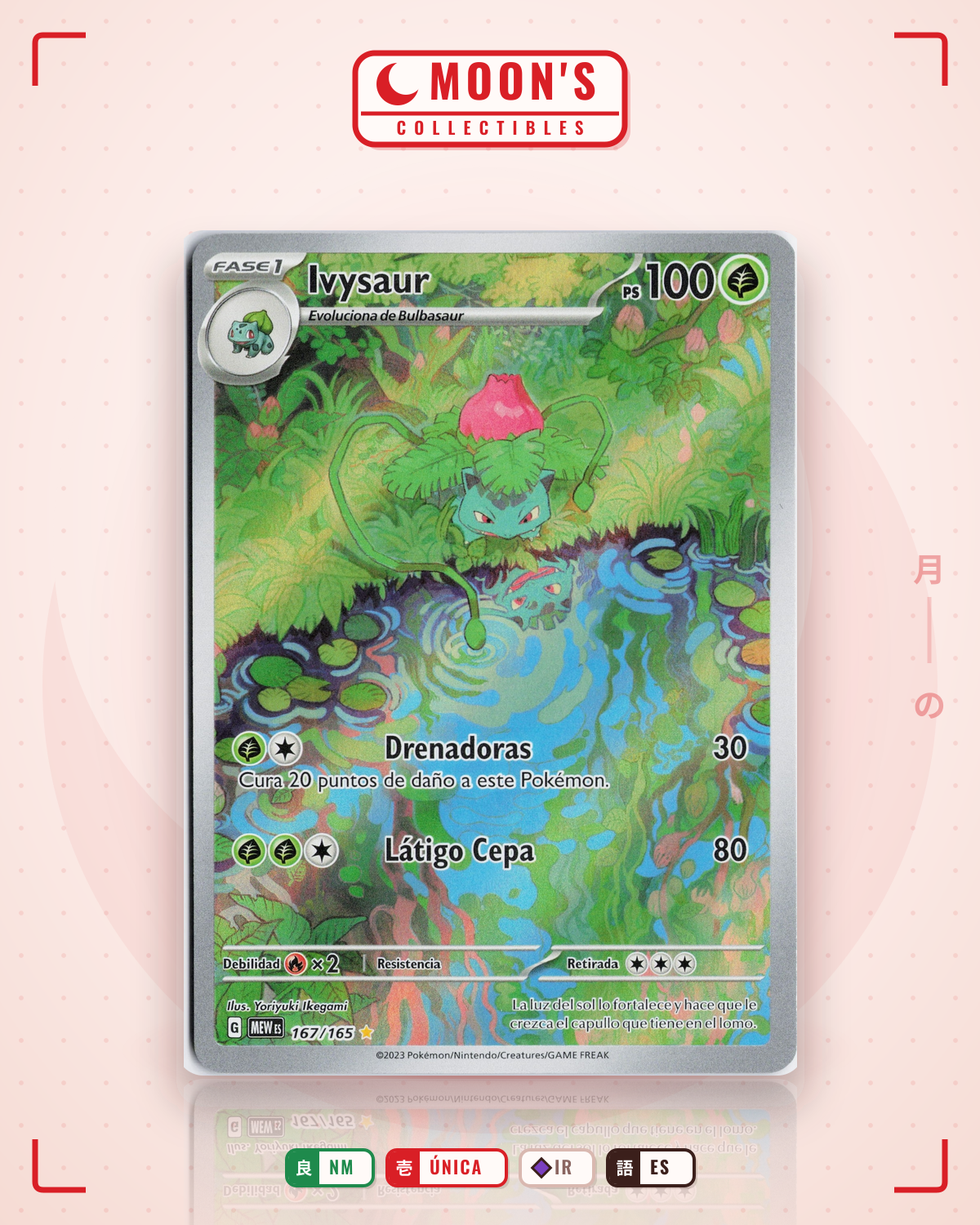 Carta Pokémon Ivysaur · 151 #167/165 (NM) — pieza única en Moon's Collectibles México