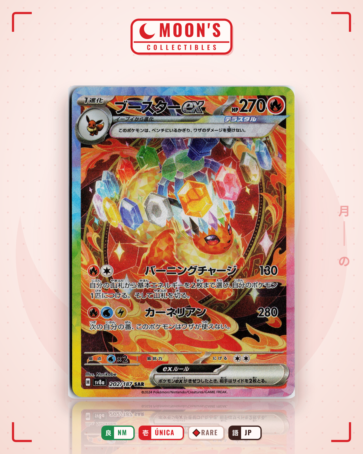 Carta Pokémon ブースターex · テラスタルフェスex #202/187 (NM) — pieza única en Moon's Collectibles México