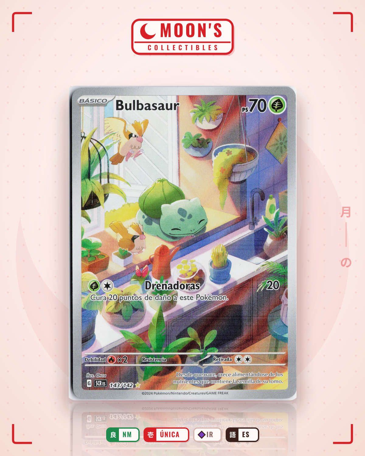 Carta Pokémon Bulbasaur · Stellar Crown #143/142 (NM) — pieza única en Moon's Collectibles México