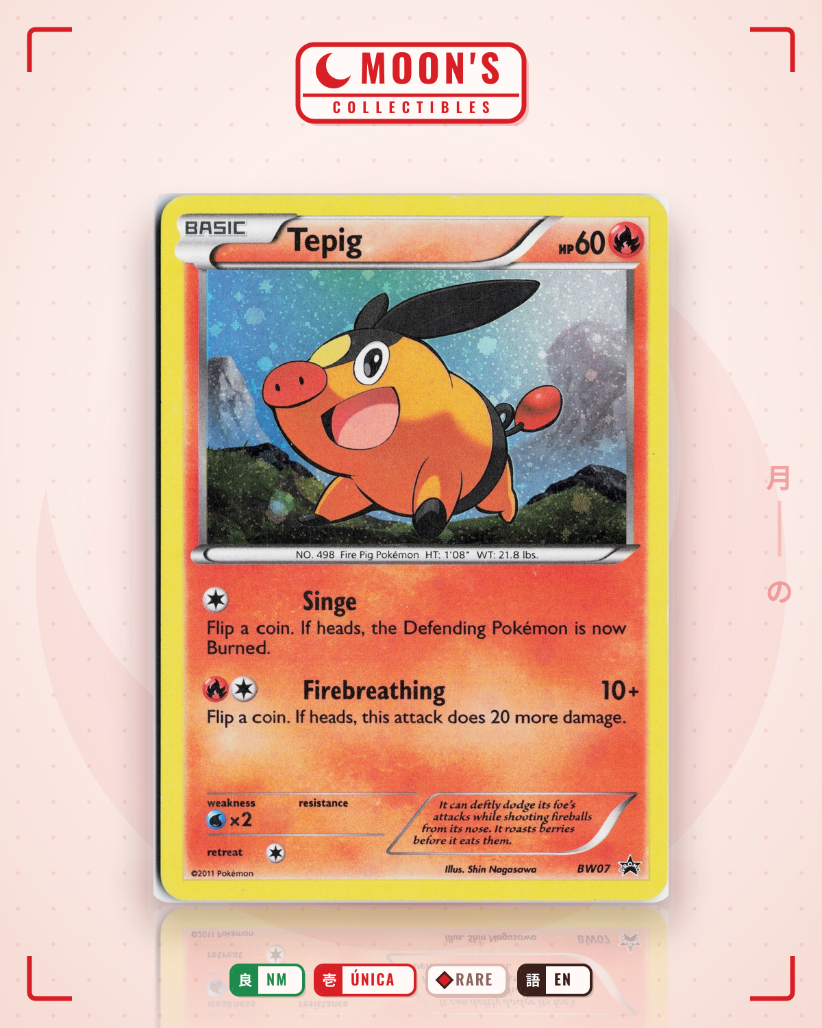 Carta Pokémon Tepig · BW Black Star Promos #BW07 (NM) — pieza única en Moon's Collectibles México