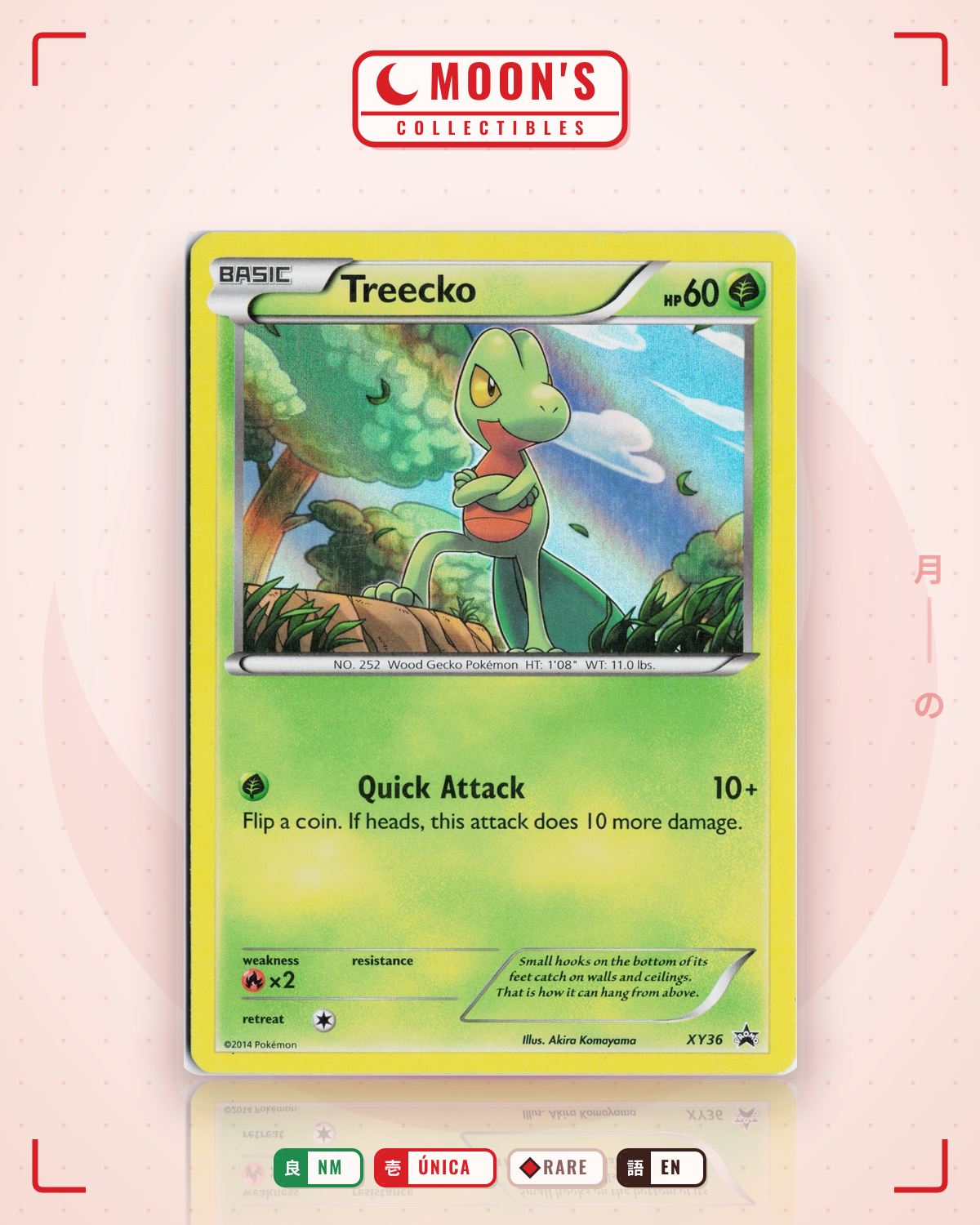Carta Pokémon Treecko · XY Black Star Promos #XY36 (NM) — pieza única en Moon's Collectibles México
