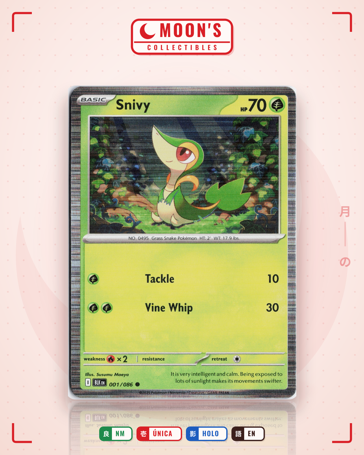 Carta Pokémon Snivy · Black Bolt #001/086 (NM) — pieza única en Moon's Collectibles México