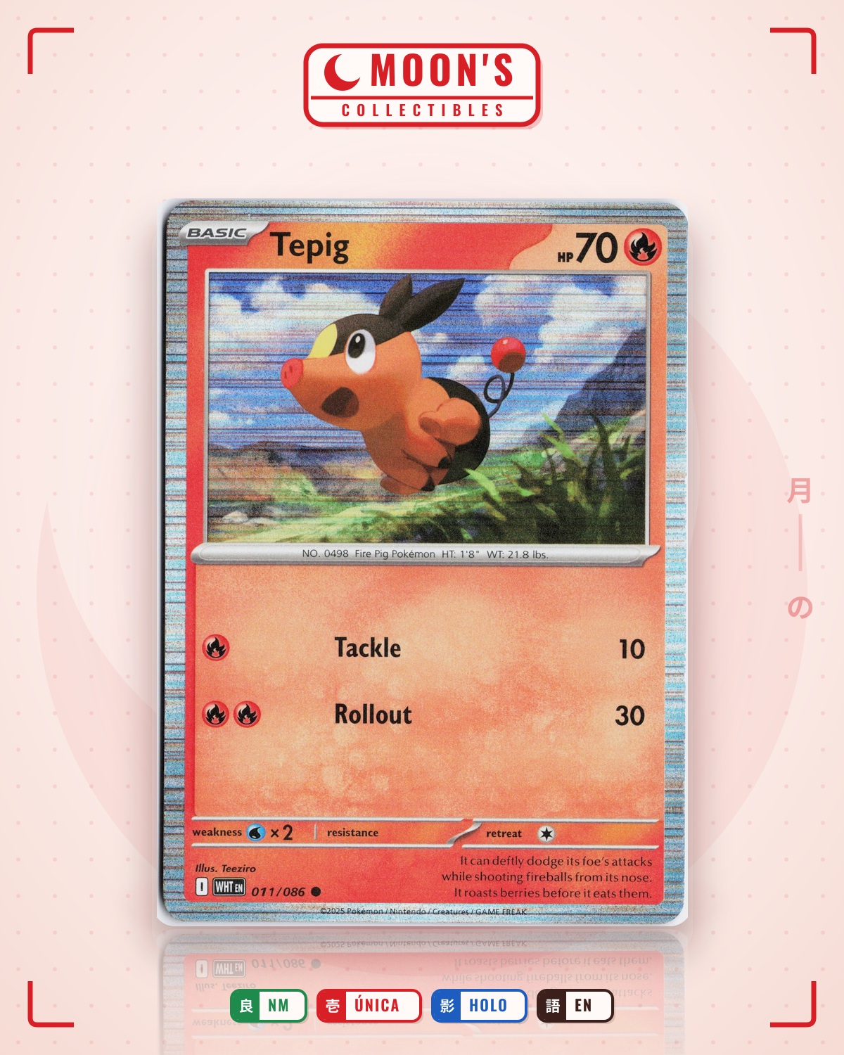 Carta Pokémon Tepig · White Flare #011/086 (NM) — pieza única en Moon's Collectibles México