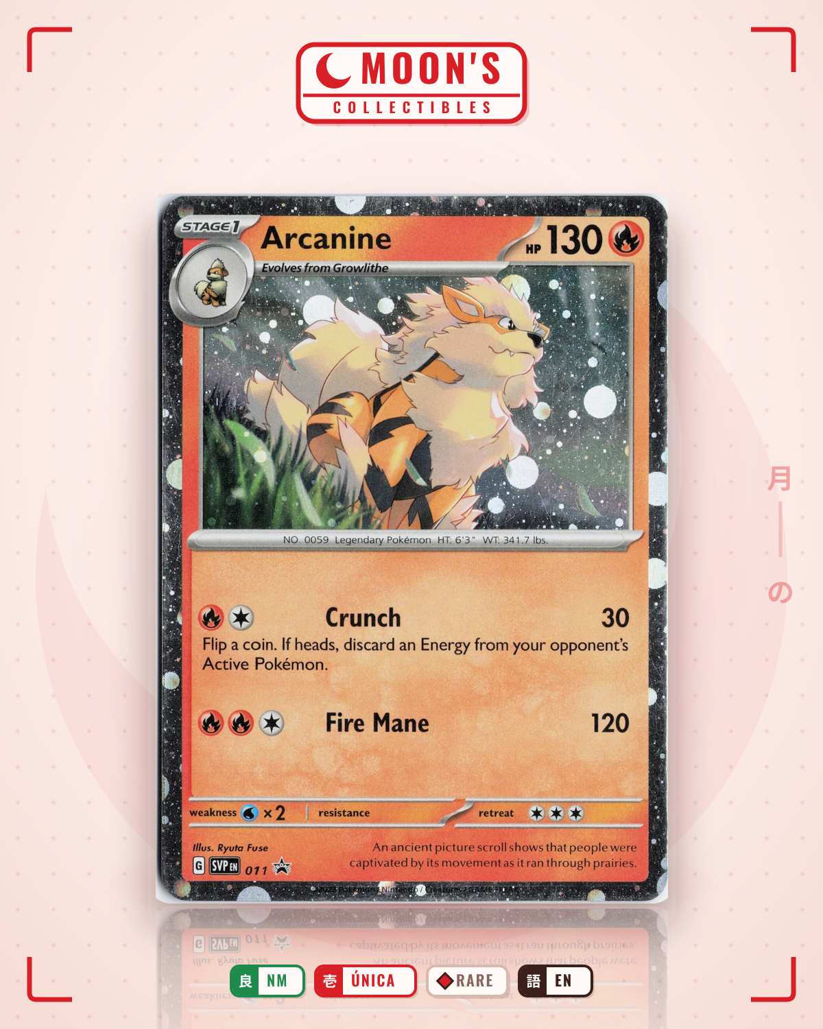 Carta Pokémon Arcanine · Scarlet & Violet Black Star Promos #011 (NM) — pieza única en Moon's Collectibles México