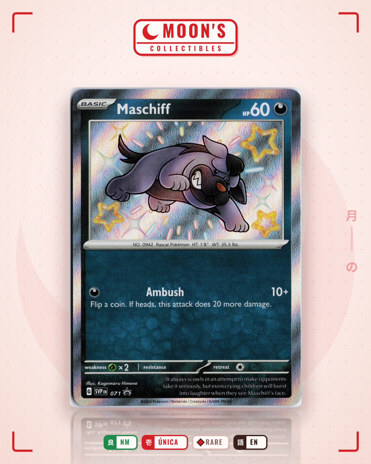 Carta Pokémon Maschiff · Scarlet & Violet Black Star Promos #071 (NM) — pieza única en Moon's Collectibles México